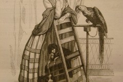 dama-con-pappagallo